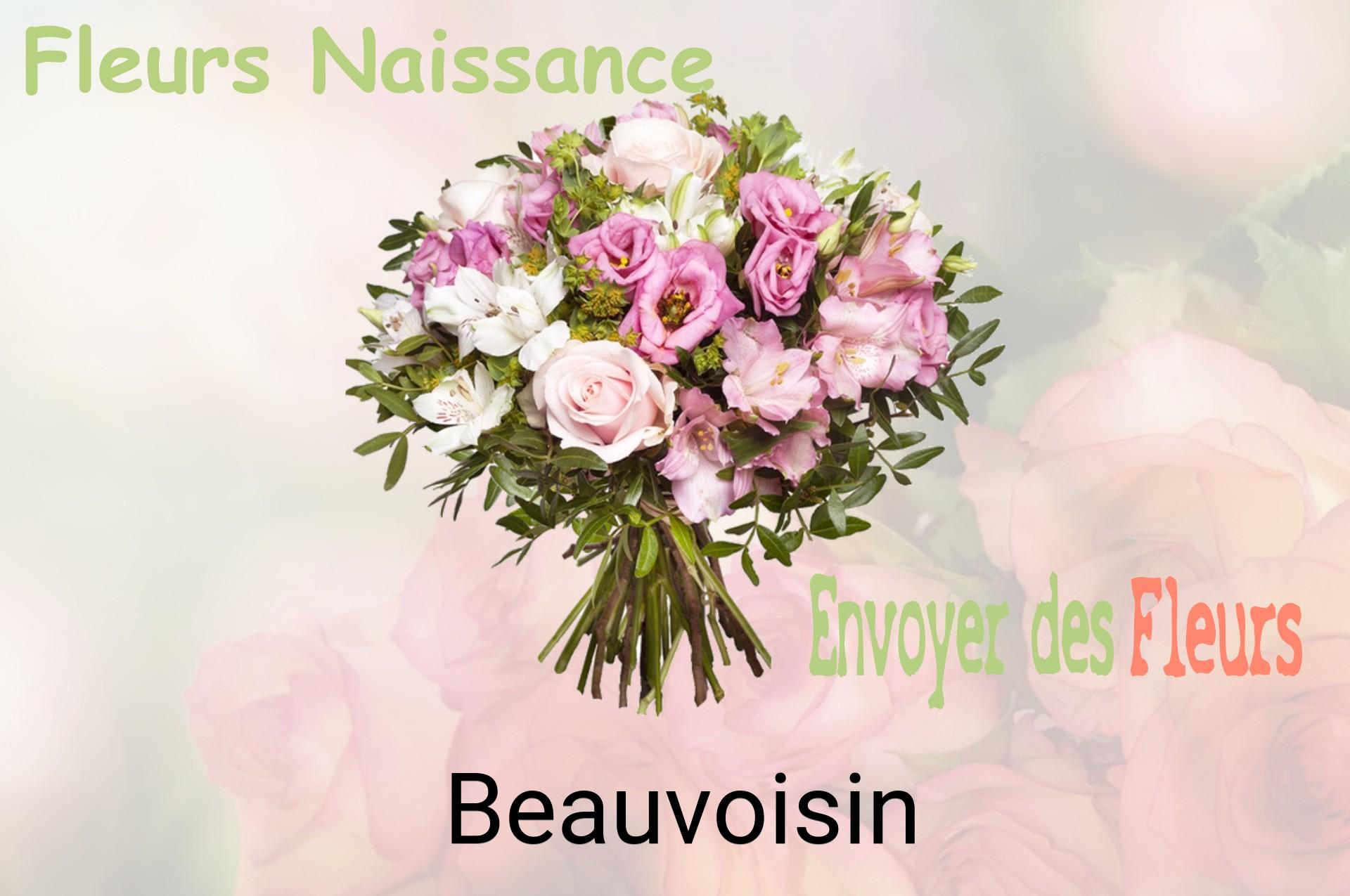 Bouquet de fleurs de naissance livré à Beauvoisin